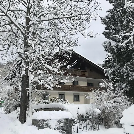 Amadee Appartements *