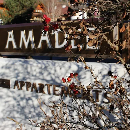 Amadee Appartements - Kaernten Card Im Sommer Inklusive