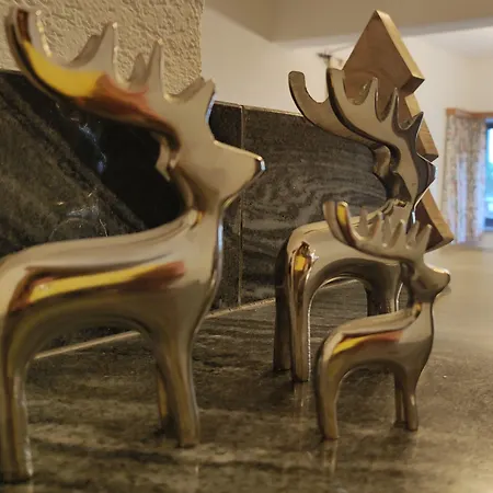 Amadee Appartements - Kaernten Card Im Sommer Inklusive Bad Kleinkirchheim