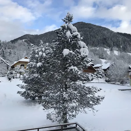 Apartment Amadee Appartements - Kaernten Card Im Sommer Inklusive *