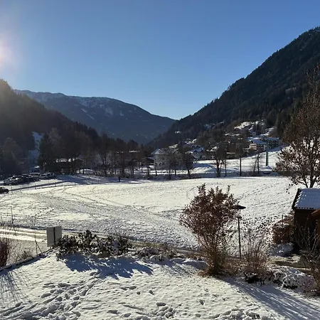 Amadee Appartements - Kaernten Card Im Sommer Inklusive *
