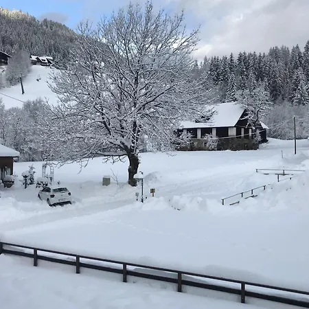 Apartment Amadee Appartements - Kaernten Card Im Sommer Inklusive *