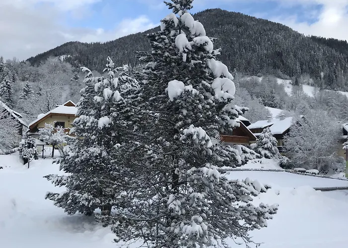 Apartman Amadee Appartements *